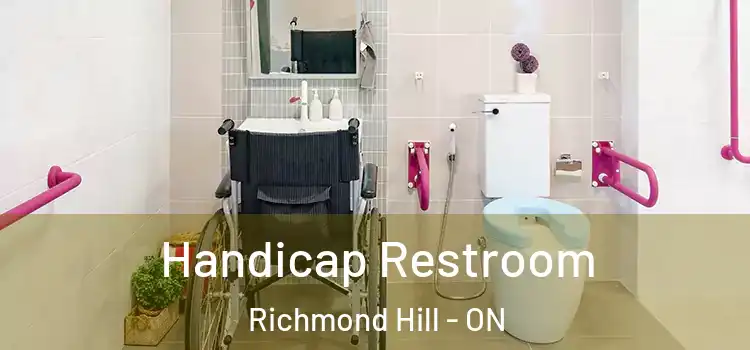  Handicap Restroom Richmond Hill - ON