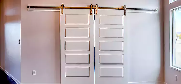 Glass Barn Door with Installation Hardware Kit Richmond Hill
